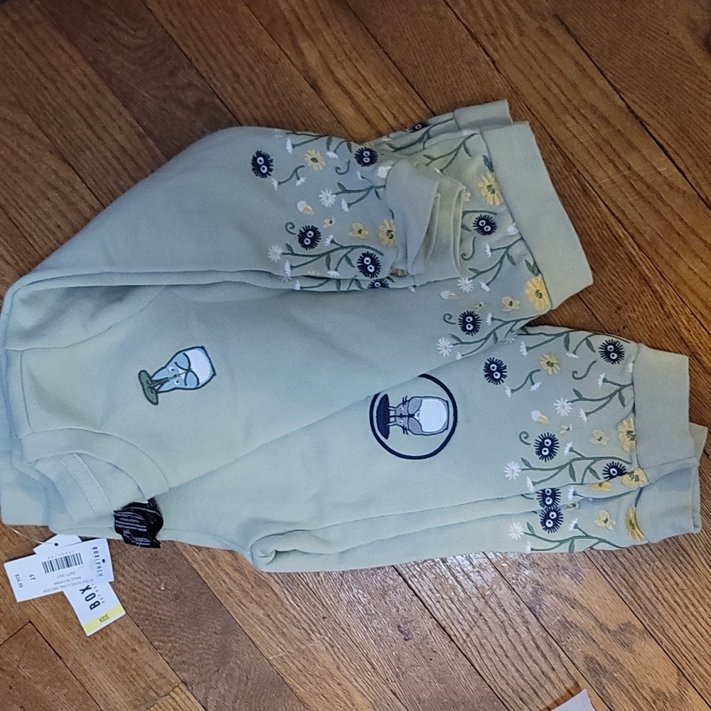 BoxLunch floral embroidery sweatsuit